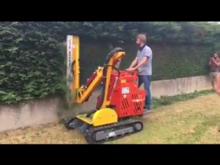 Bush trimming machine