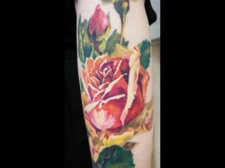 Healed tattoo rose by linia