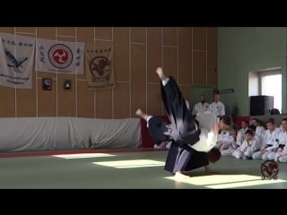 Anna maximova v ежегодная демонстрация айкидо 2018