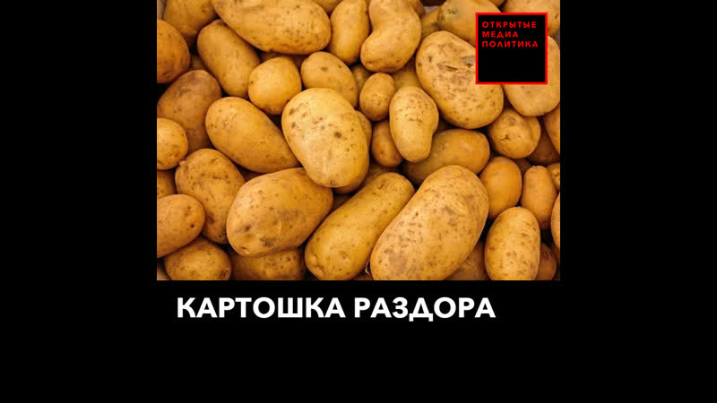 Картошка раздора