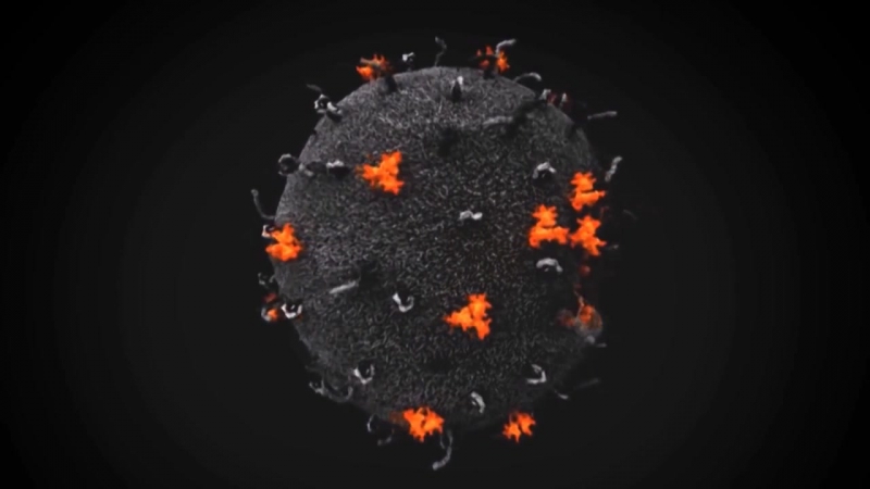 02 фильм клинические проявления вич инфекций