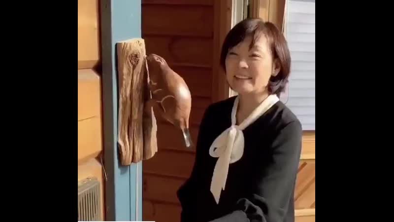 Премьер министр японии синдзо абе добровольно ушёл в отстау и занялся резьбой по дереву