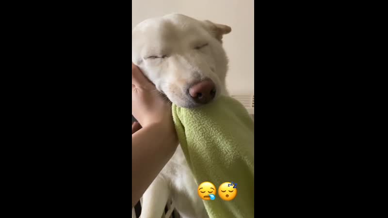 Подай полотенце и не подглядывай