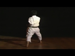 Taikyoku shodan kata