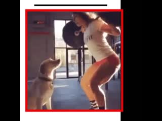 London fitness abakan 20191209 1 mp4