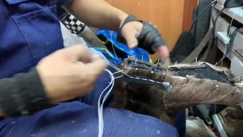 [олесь петрович] унты