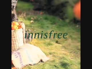 Innisfree philippines