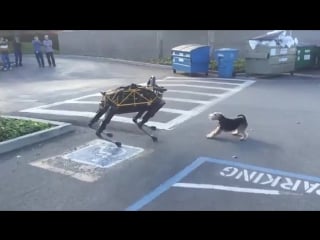 Молодые отгоняет робота boston dynamics