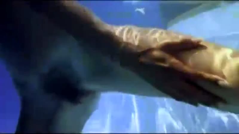 Эммануэль в америке emanuelle in america (1977)