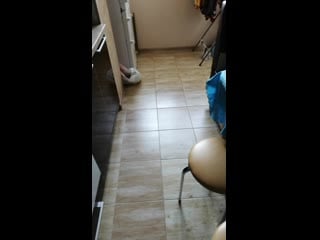 Vid 20191009 113331 mp4