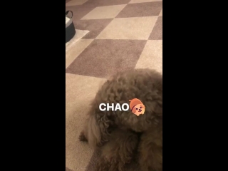 Takagi manpei / shinpei