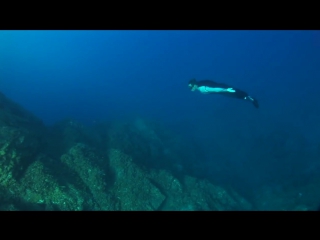 Amazing freedive with the ocean brothers world shootout 2014 awesome freediving in hd (1)