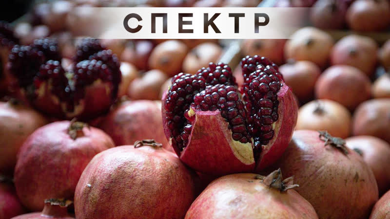 Зеленый чай, рябина и гранат уничтожают коронавирус