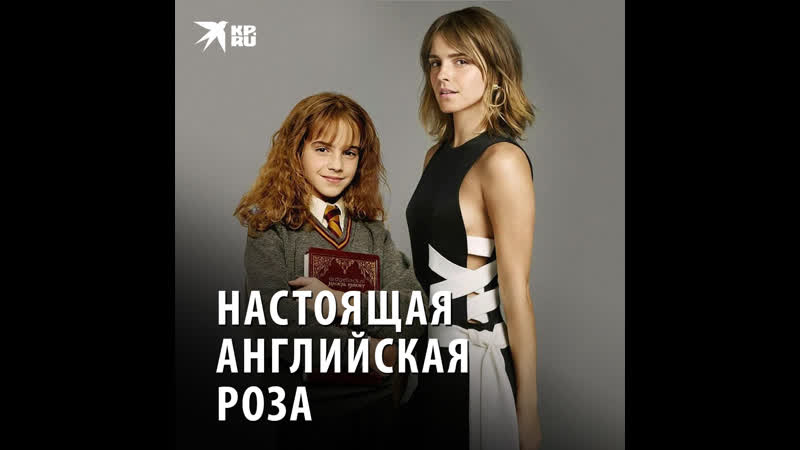 «настоящая английская роза»