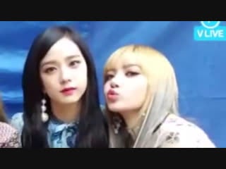 Дуть в друг друга фишка лису