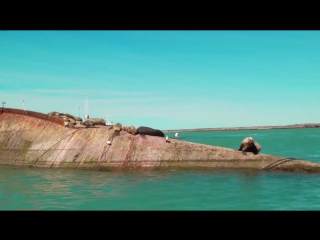 Патагония по следам дарвина 2 от камаронес до горы дарвина