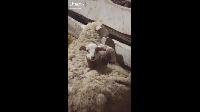 Маленькость