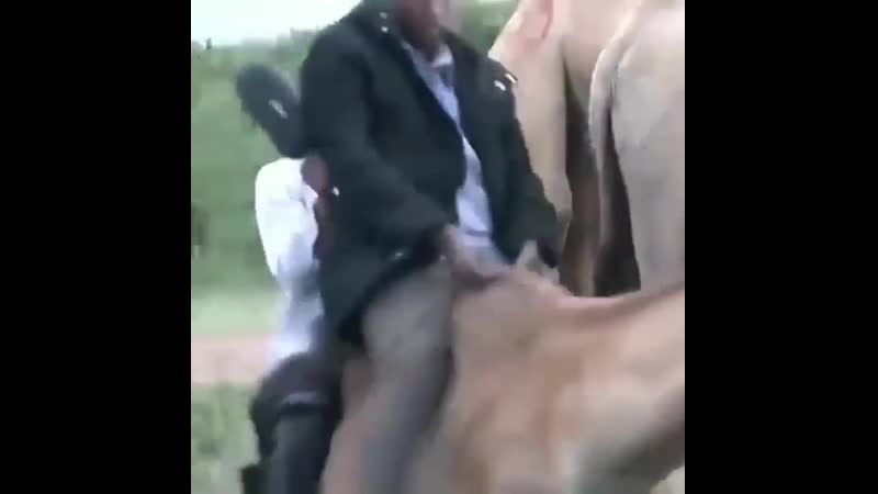 Корреспонденты