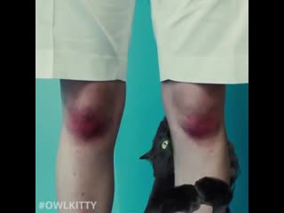 Owlkitty billie eilish bad guy