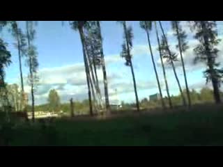 00044 о прыгуне без трусов и о срубленных берёзах