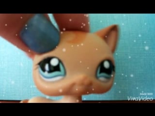Lps транс lps tpornr cat and lps kitten