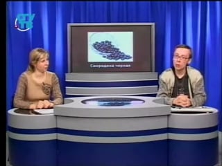 Пищевые растения урок 2 7 ягодные растения и ягодные лианы