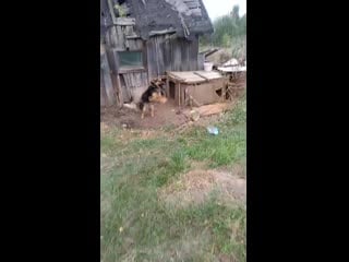 Vid 20200914 174020 mp4