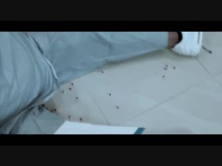 Waka flocka flame – obituary (feat wooh da porn)