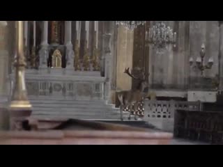 Strangely beautiful stray deer in a church in france