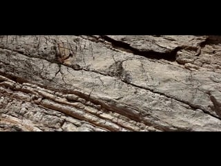 Xonia ft deepcentral hold on 1080p