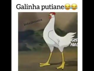 Galinha prostituta; olha o programa;