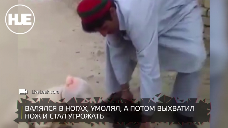 Двухлетний ребенок в афганистане не дал отцу зарезать курицу