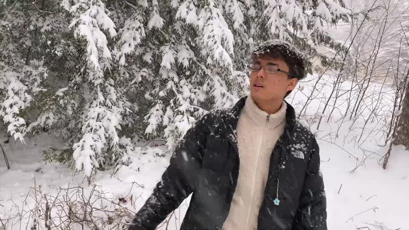 Sebii – winter 「prod fbk x hollow」