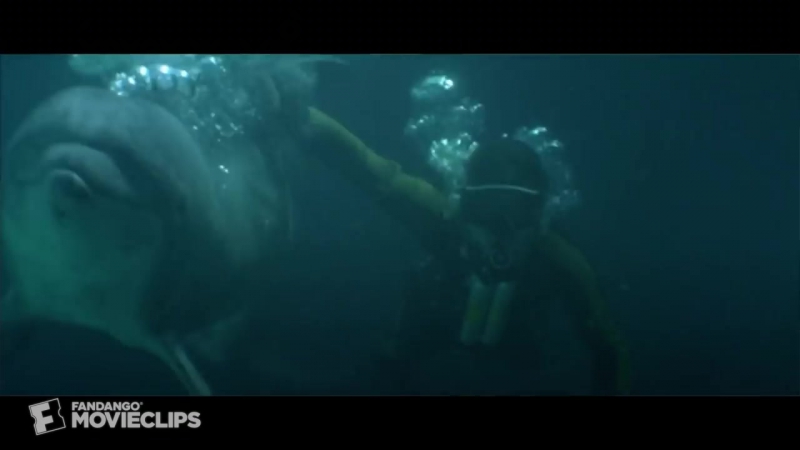 Dolphins porn video – Best scene rescued by dolphins jaws 3 d (2/9)