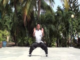 Hồng gia việt nam dưỡng sinh đạo võ phần 1