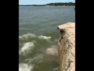 Бульк (vhs video)