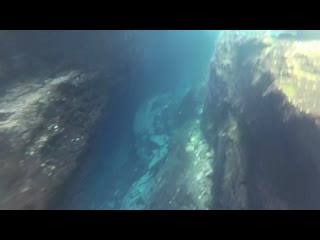 Cenote azul потрясающий опыт!