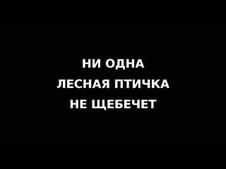 Video by макс данилейко