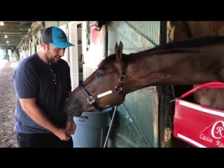 Our own @danonymousman caught up with @markecasse’s superstar wonder gadot, who is pointing to the travers stakes at saratoga on