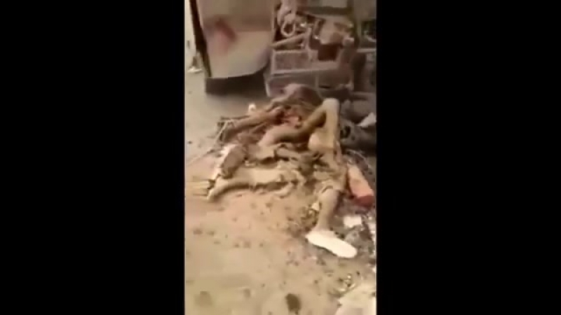 ✔ особое мнение (18+) ликвидированные боевики игил, ирак