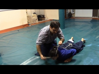 Ogawa ryu torugome