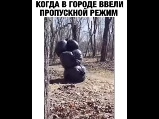 Пропускной режим в городе