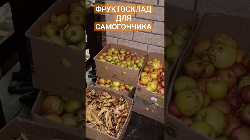 150 кг фруктов для самогона фруктосклад для дистиллятов #сливовица #кальвадос #банановыйликер