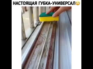 Lifexak video 20200801 8 mp4