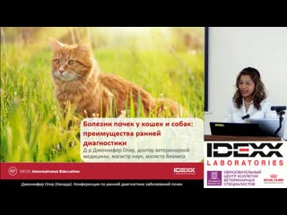 1 jennifer ogeer лектор рассказывает о себе