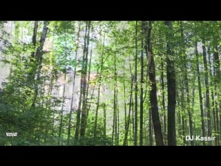 Dj kassir boiler room x gost zvuk live set