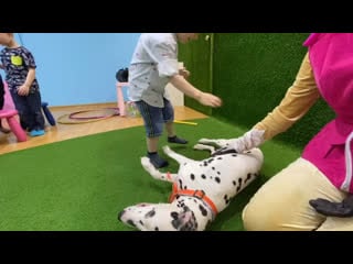 Скай и маршал