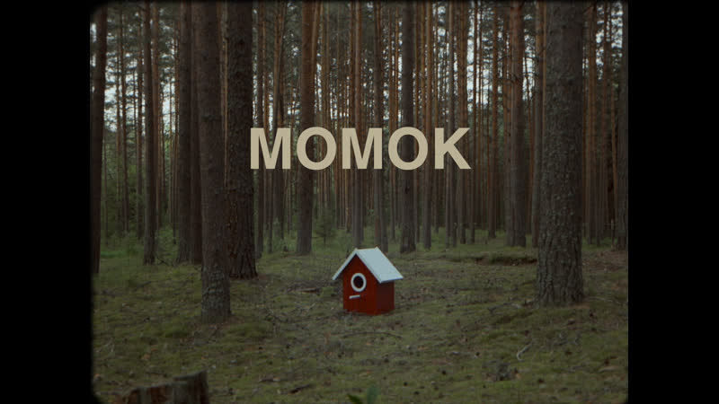Lurmish момок (official video)