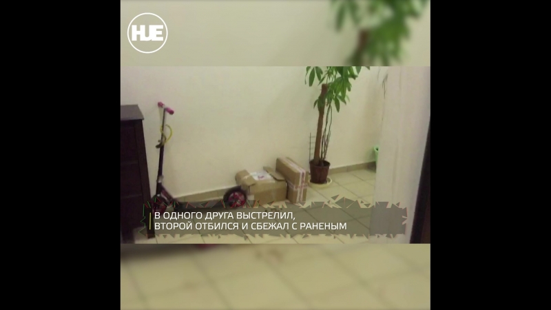 Пьяный неадекват с травматом ночью стрелял в друзей в москве