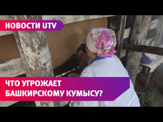 Последнее поколение как в башкирии готовят традиционный кумыс, и почему это ремесло может исчезнуть?